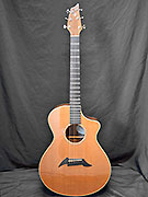 BREEDLOVE C25-CRE H