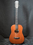 TAYLOR BT2