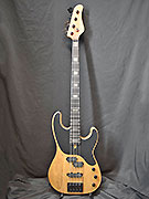 SCHECTER T4 EXOTIC