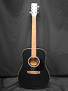 ART ET LUTHERIE CEDAR BLACK