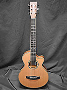 TANGLEWOOD REUNION TR PRO TCE BW