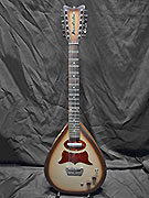 DANELECTRO BOUZOUKI 60’s