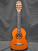 CORDOBA PROTEGEE 1/2