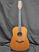 TAKAMINE N10