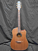 TAKAMINE EN10C