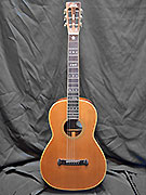 WASHBURN R 306