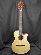 IBANEZ AEG50N-NT